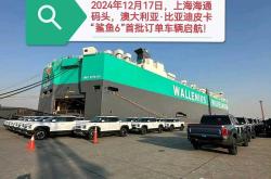 首批比亚迪鲨鱼皮卡抵达澳大利亚 准车主：领先柴油皮卡好几年