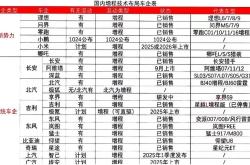 新势力车企的三个档次，2025年谁最有可能死掉？