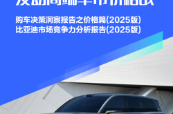 新能源汽车2025年有望再次“跑”出销量新高
