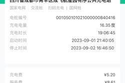汽车充电桩存收费乱象：充电80元 服务费比电费还贵