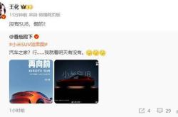 王化辟谣小米SU7出险率/拒保等谣言：毫无事实依据！已报案