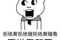 车企为纯电赌未来，吹牛还是实干？