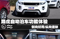 网友演示十五年前的大众自动泊车 这水平你觉得怎么样