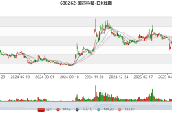 国芯科技与安波福达成战略合作，加速国产汽车芯片应用进程
