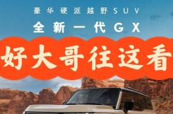 2025新雷克萨斯GX加版平价销售112万起 欢迎前来试驾