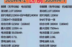 冰箱彩电大沙发装进越野车 全新坦克500开售：36万起