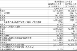 营收、毛利创新高，零跑汽车首次实现半年度净利润转正