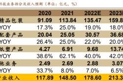 多元布局，中国车企奋进全球路