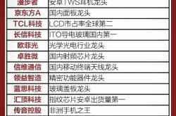激荡三十载：英飞凌与中国半导体产业的时代交响