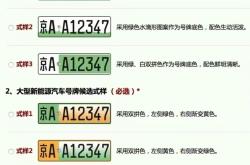 博主称找到让新能源绿牌没那么丑的方法 网友质疑是否合法