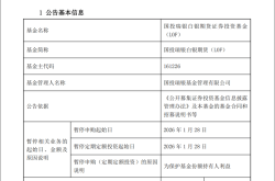 2026年1月俄罗斯新车价格普涨，28个品牌上调售价，全年涨幅或达5%至50%