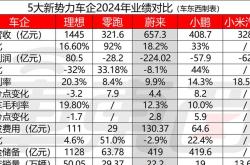蔚来发布2025年财报，首次实现季度盈利