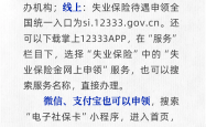 失业保险金申领渠道有哪些？人社部解答