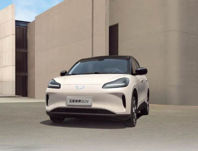 定位纯电小型SUV/或三季度上市 五菱缤果S官图
