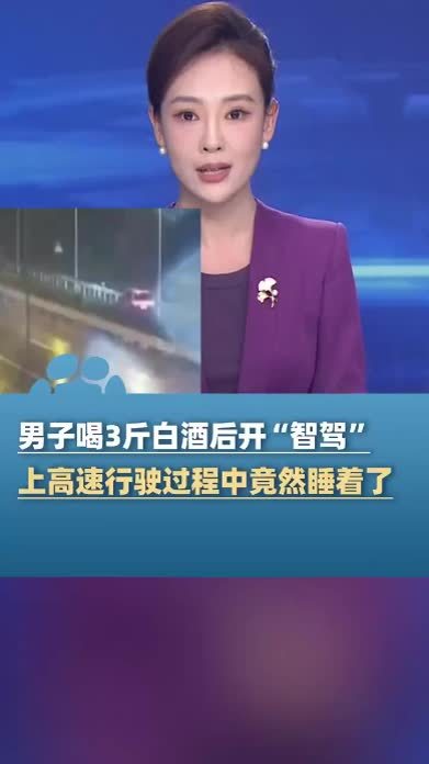 男子打开“辅助驾驶”后闭眼就睡 结果车被撞稀烂