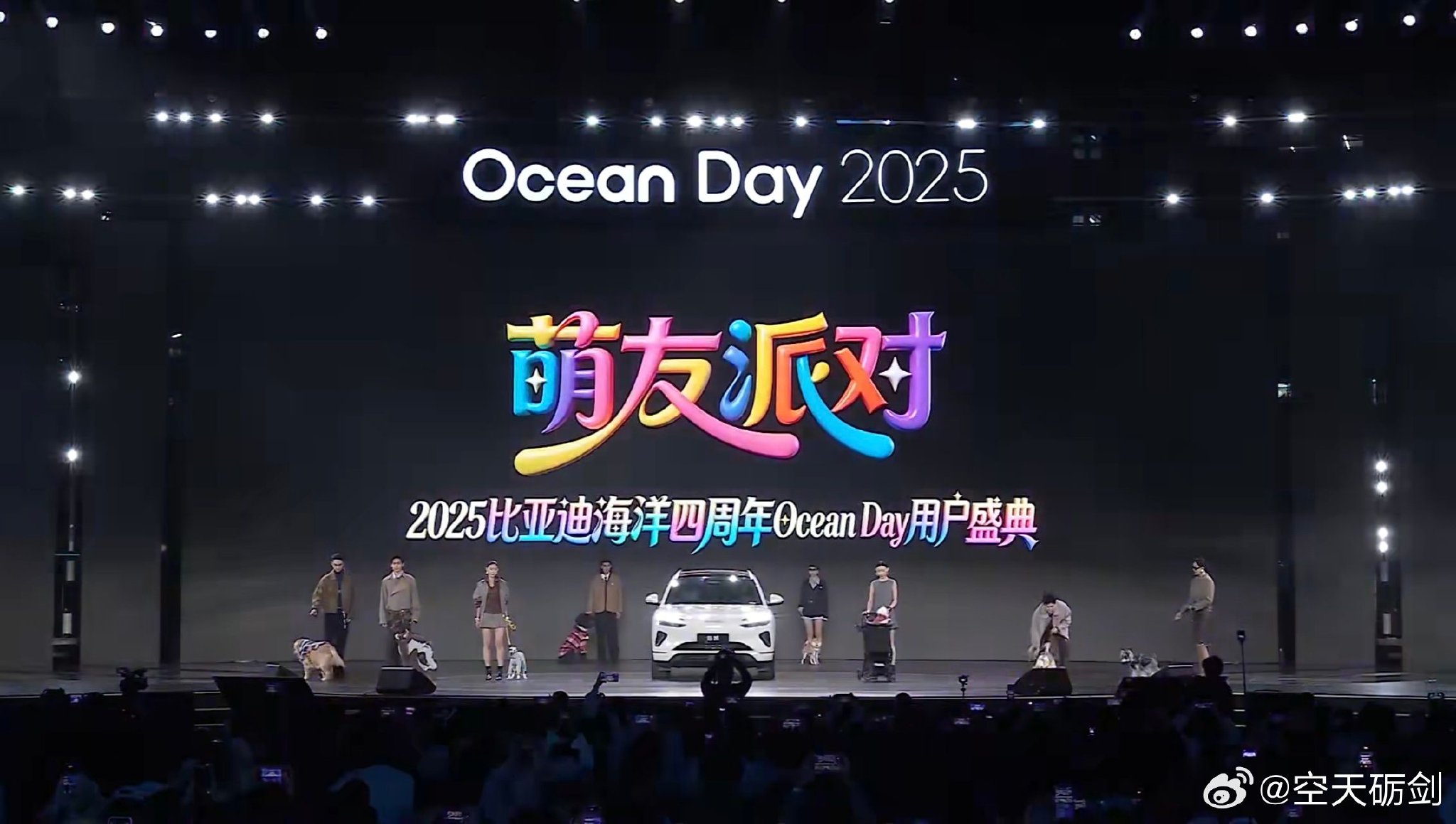 比亚迪海洋网官宣双旗舰车型 海豹08与海狮08预计2026年亮相
