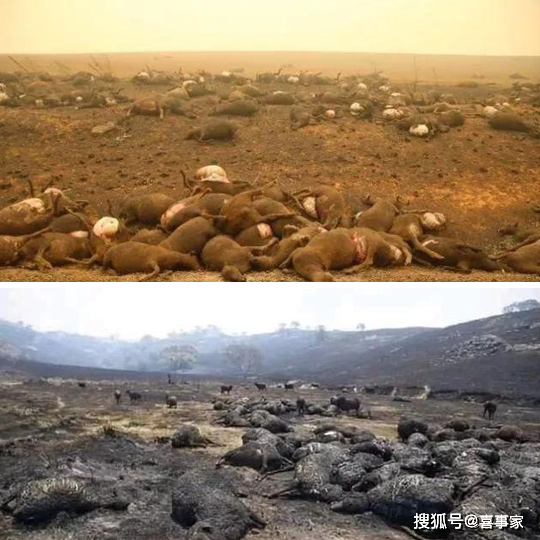 俄罗斯一男子雪地里用工业级热风枪暖车 操作失误致爱车被大火吞噬