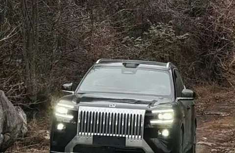 宝马X5同款315大宽胎 极氪8X性能版亮相：三电机+电动尾翼